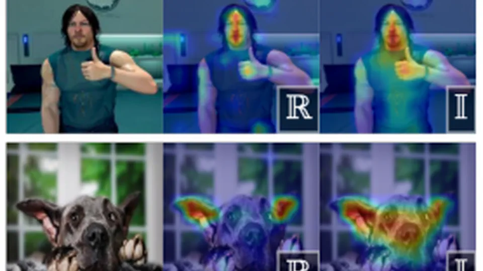 Learning frequency domain codes for semantic vision