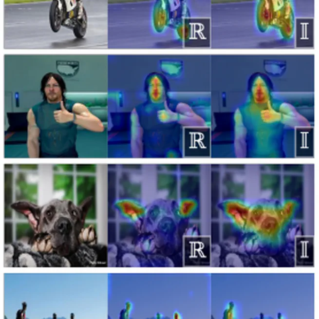 Learning frequency domain codes for semantic vision